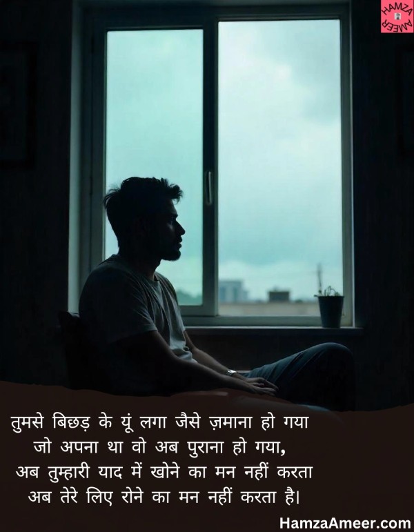 tumse bichad ke yun laga jaise zamaana ho gaya